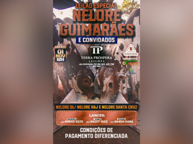 Leilão Especial Nelore Guimarães e Convidados