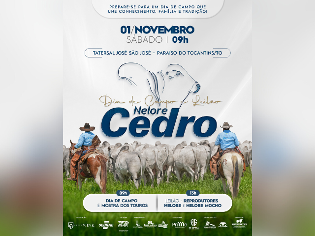 Leilão Nelore Cedro