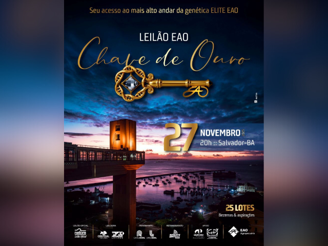 Leilão EAO Chave de Ouro