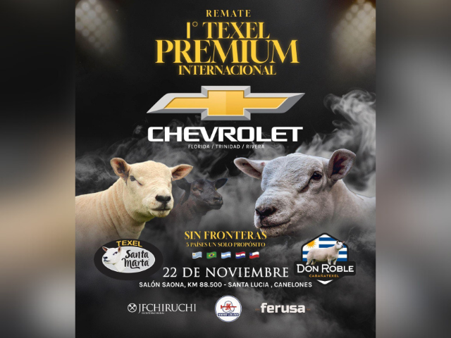 1º Remate Texel Premium Internacional