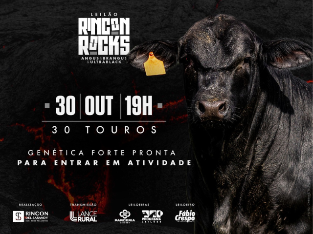 Leilão Rincon Rocks