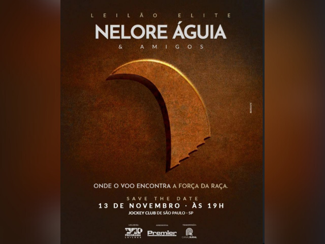 Leilão Elite Nelore Águia & Amigos