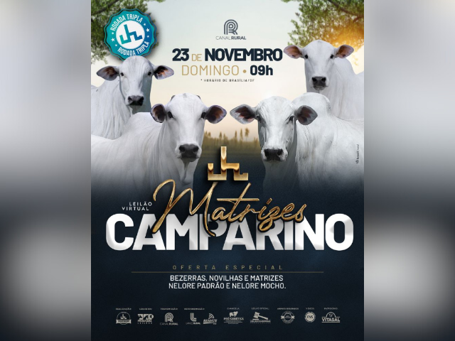 Leilão Matrizes Camparino