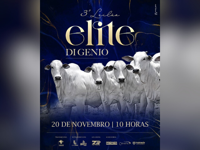 3º Leilão Elite Di Gênio