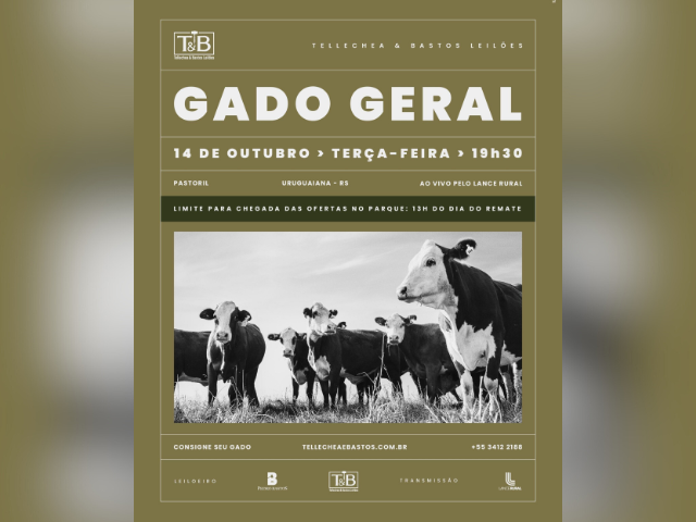 Remate Gado Geral TB