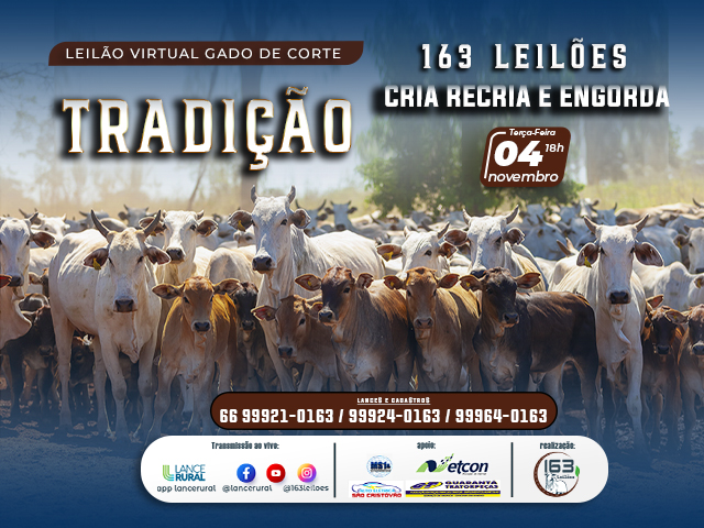 22º Leilão Gado de Corte Tradição