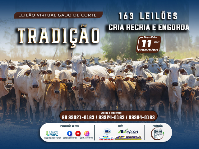 Leilão de Gado de Corte Tradição