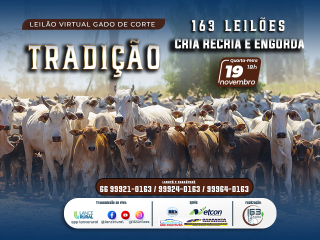 Leilão de Gado de Corte Tradição