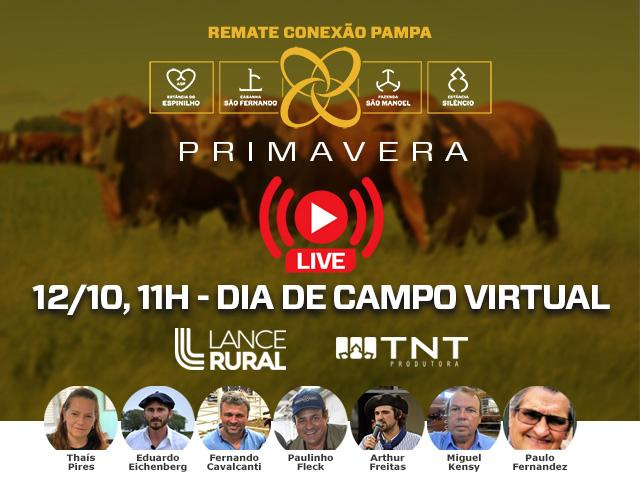 Live Conexão Pampa Primavera