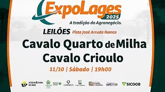 Expolages – Leilão Quarto de Milha e Cavalo Crioulo