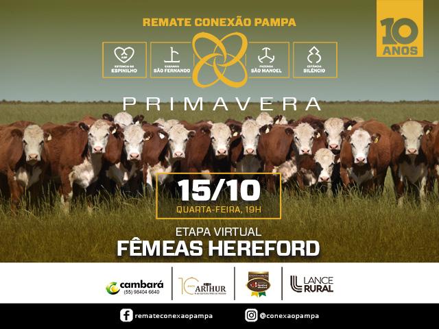 Conexão Pampa – Virtual Fêmeas Hereford