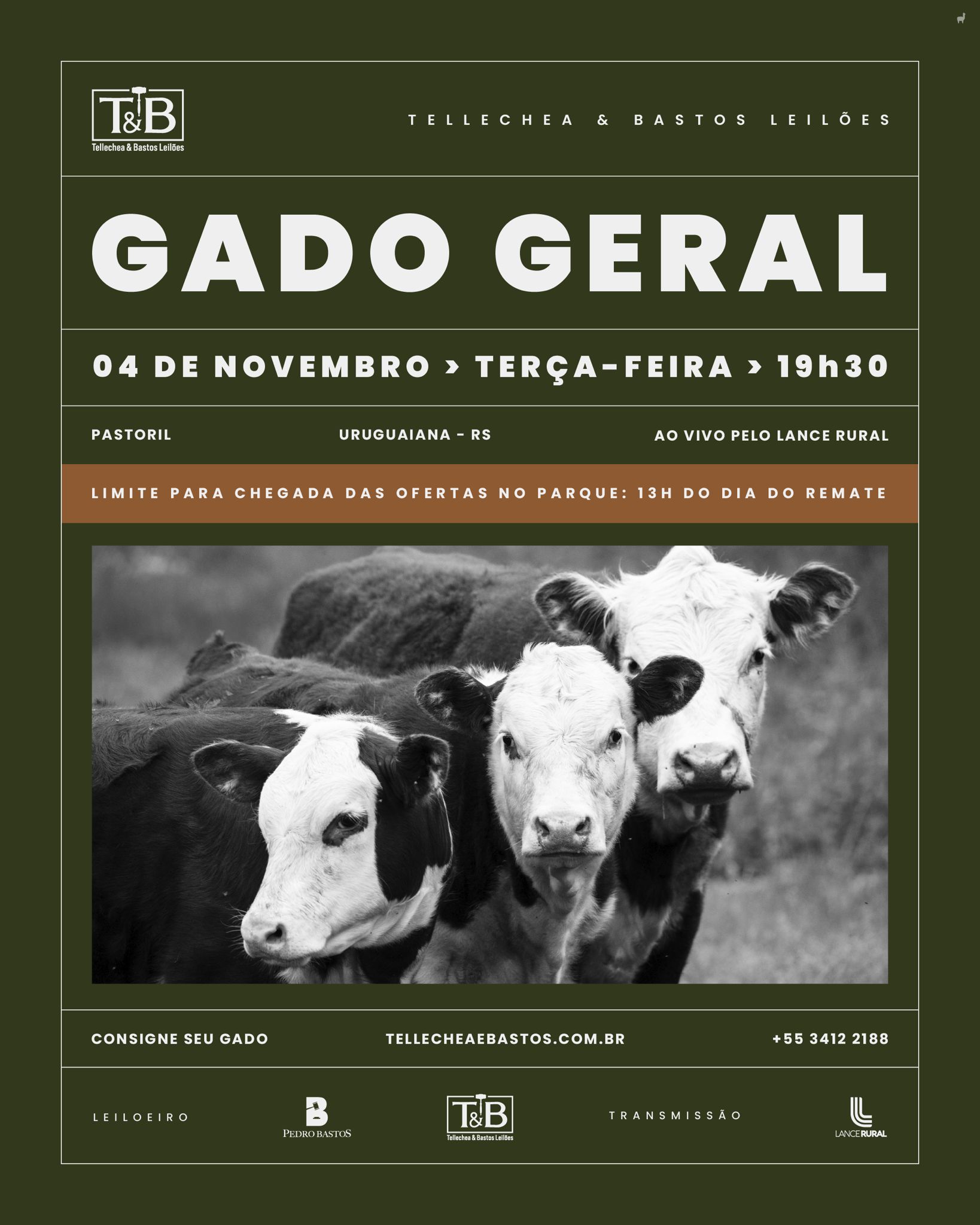 Remate Gado Geral TB