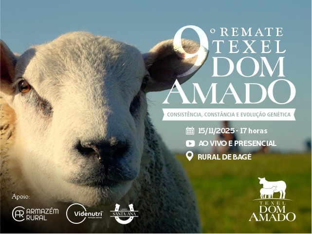 9º Remate Texel Dom Amado