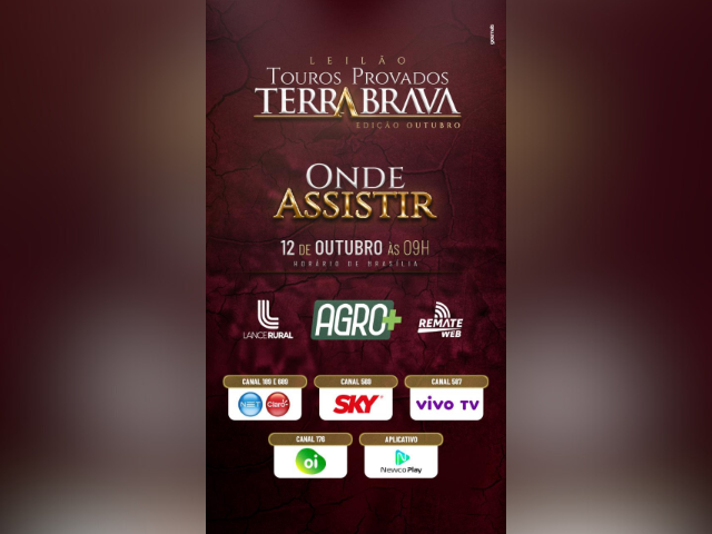 Leilão Touros Provados Terra Brava