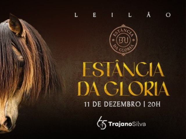 Leilão Virtual Estância da Gloria