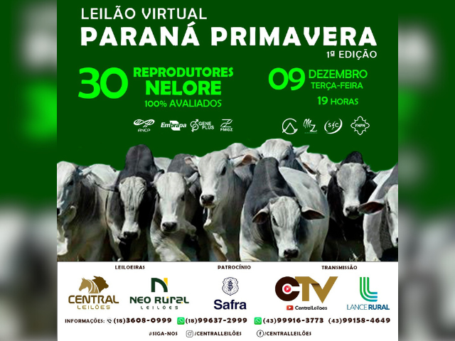 Leilão Paraná Primavera – 1ª Edição
