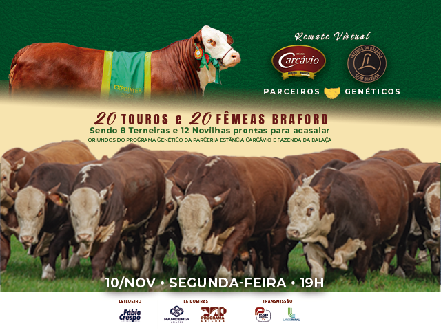Remate Virtual Parceiros Genéticos – Carcávio & Fazenda da Balança
