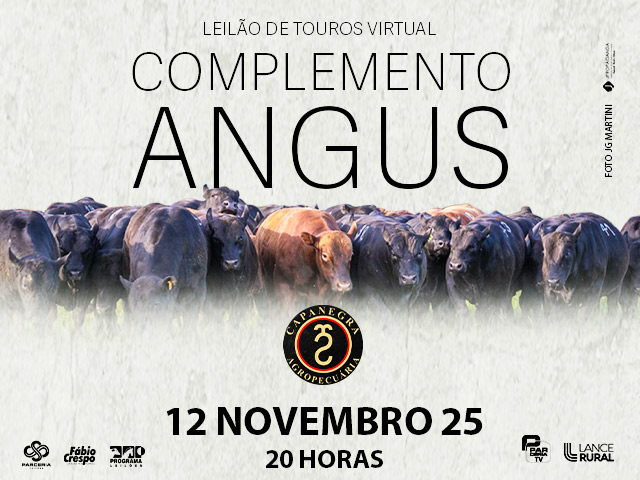Leilão de Touro Virtual Complemento Angus