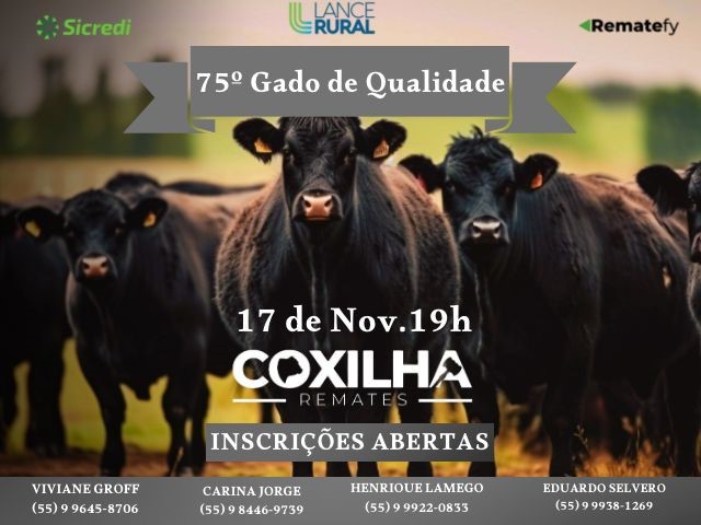 75º Remate Gado de Qualidade