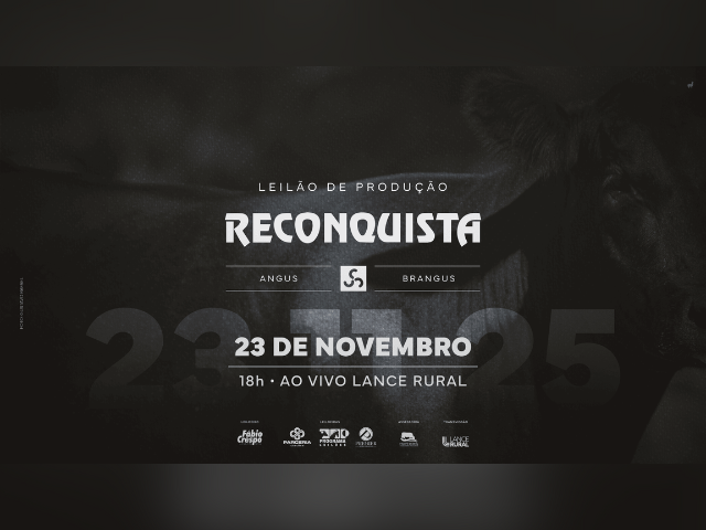 Leilão de Produção Reconquista