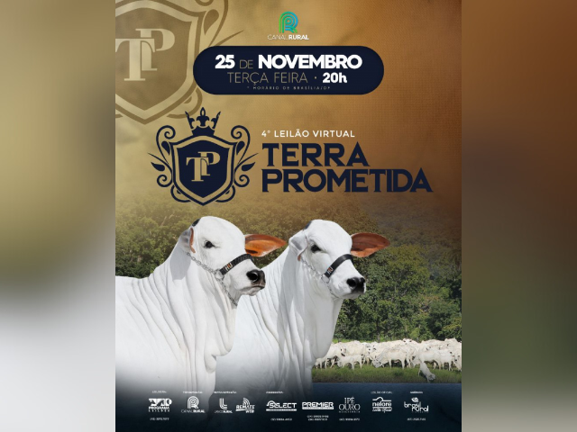 4º Leilão Virtual Terra Prometida