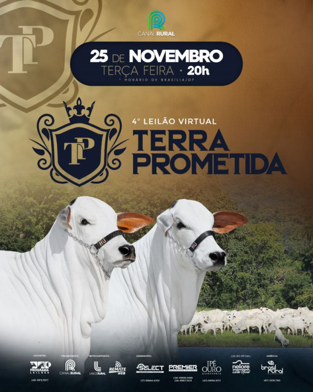 4º Leilão Virtual Terra Prometida