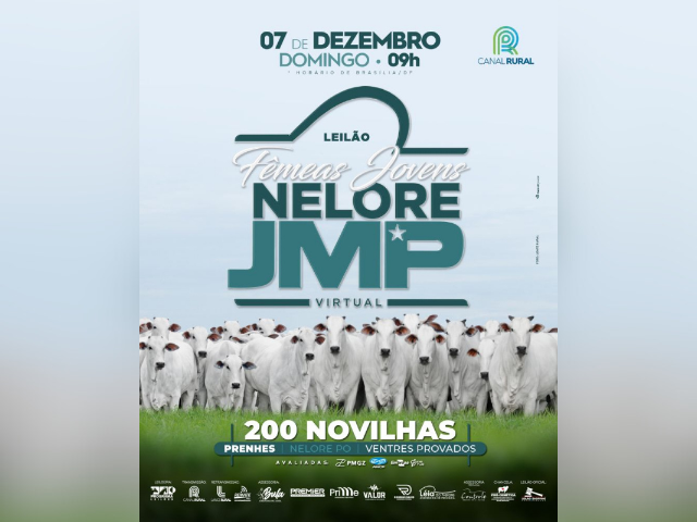 Leilão Virtual Fêmeas Jovens Nelore JMP