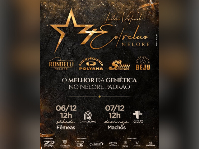 Leilão Virtual 4 Estrelas Nelore – Etapa Machos