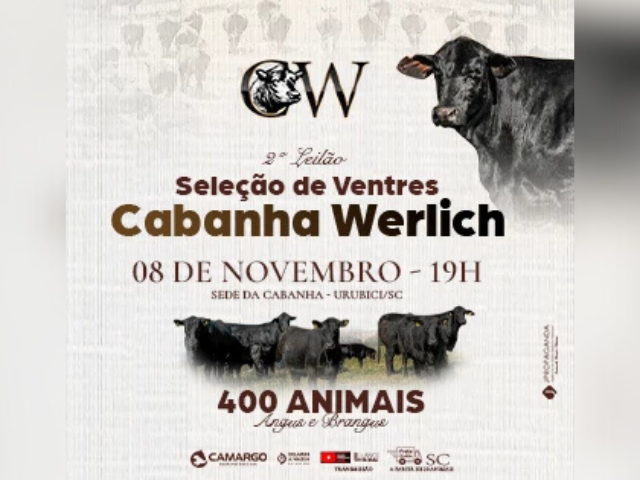 2º Leilão Seleção de Ventres Cabanha Werlich