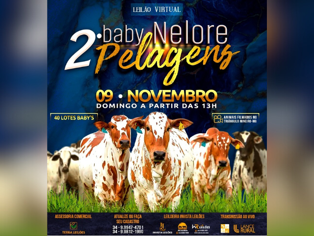 2º Leilão Virtual Baby Nelore – Pelagens