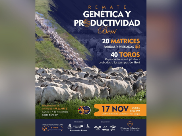 Remate Genética Y Productividad Beni
