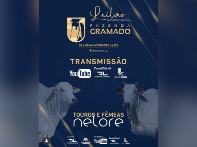 Leilão Presencial Fazenda Gramado