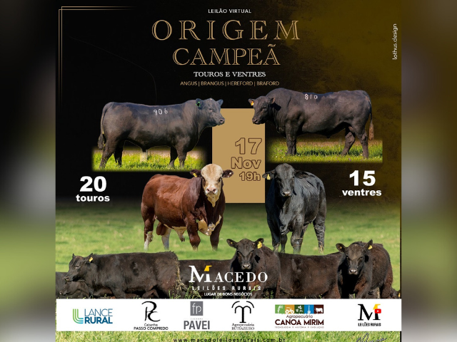 Leilão Virtual Origem Campeã