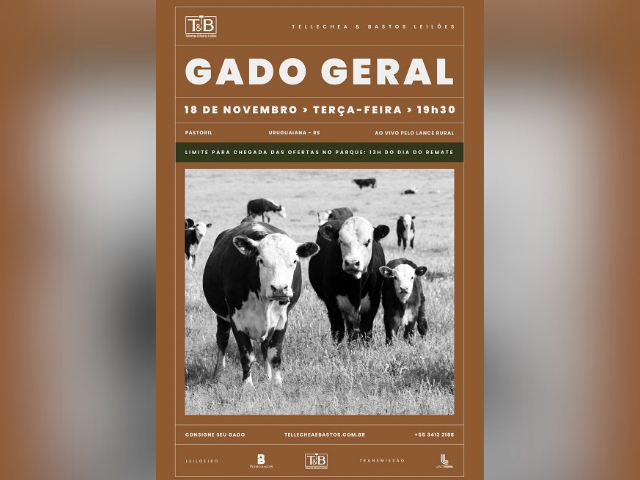 Remate Gado Geral TB