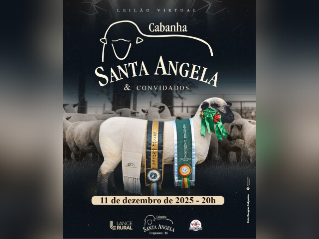 Leilão Virtual Cabanha Santa Angela & Convidados