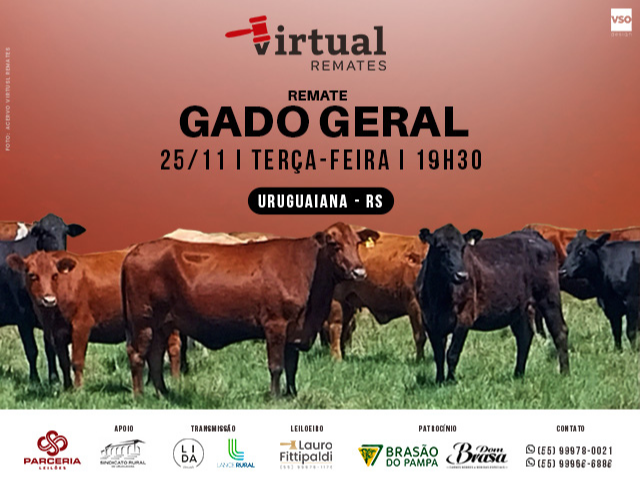 Remate Gado Geral