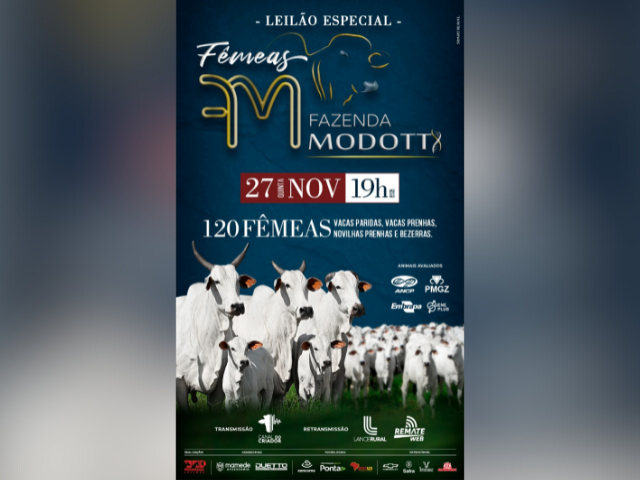 Leilão Especial Fêmeas Fazenda Modotti