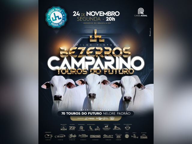 Leilão Virtual Bezerros Camparino – Touros do Futuro