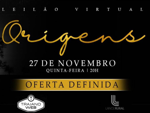 Leilão Virtual Origens