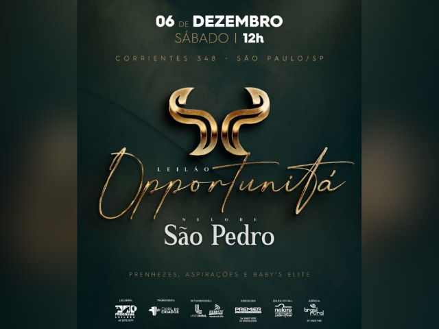 Leilão Opportunitá Nelore São Pedro