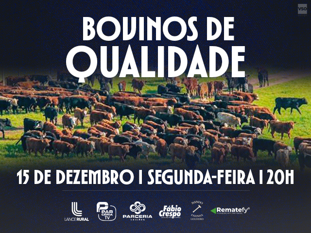 Leilão Bovinos de Qualidade