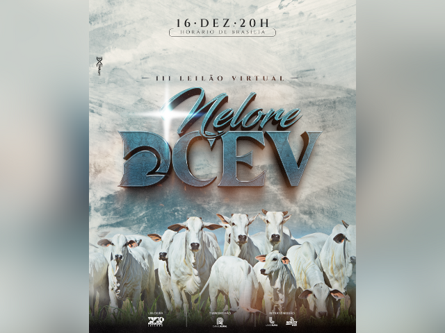 3° Leilão Virtual Nelore DCEV