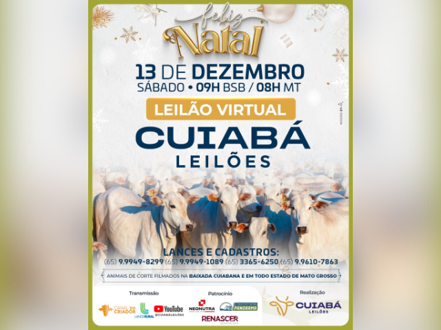 Leilão Virtual Cuiabá Leilões