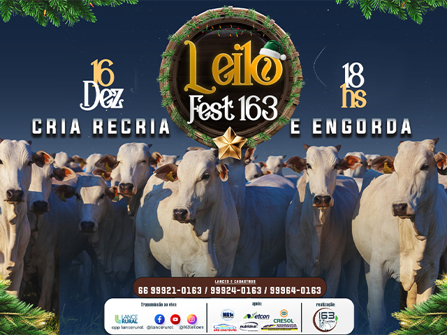 Leilão Virtual Gado de Corte