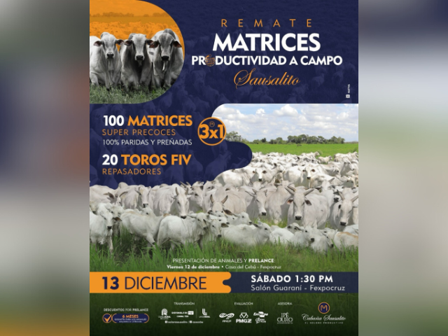 Remate Matrices Productividad a Campo