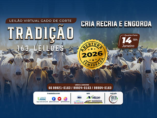 Leilão Virtual Gado de Corte Tradição – 163 Leilões