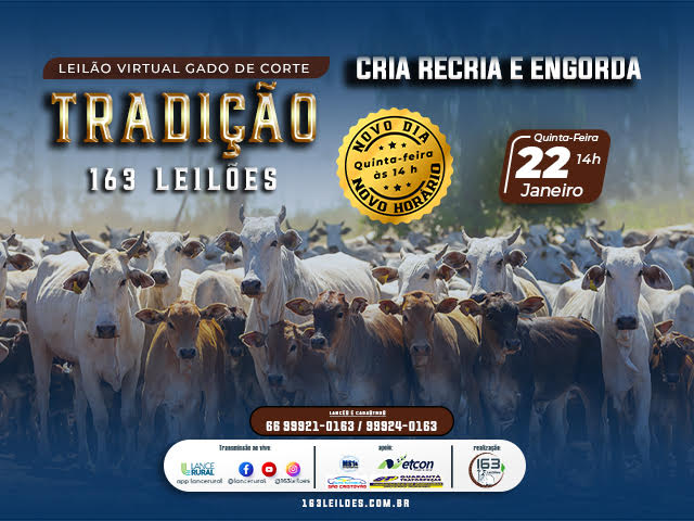 Leilão Virtual Gado de Corte Tradição