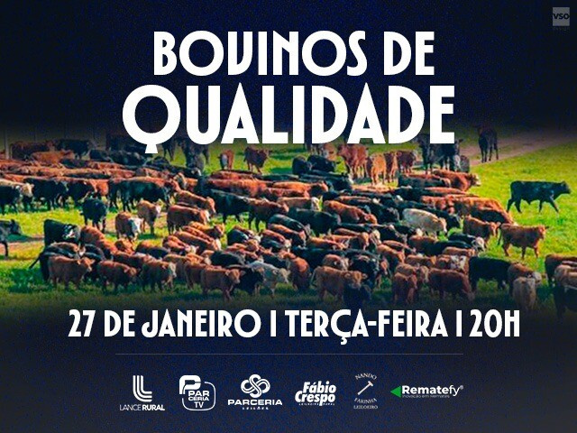 Leilão Bovinos de Qualidade