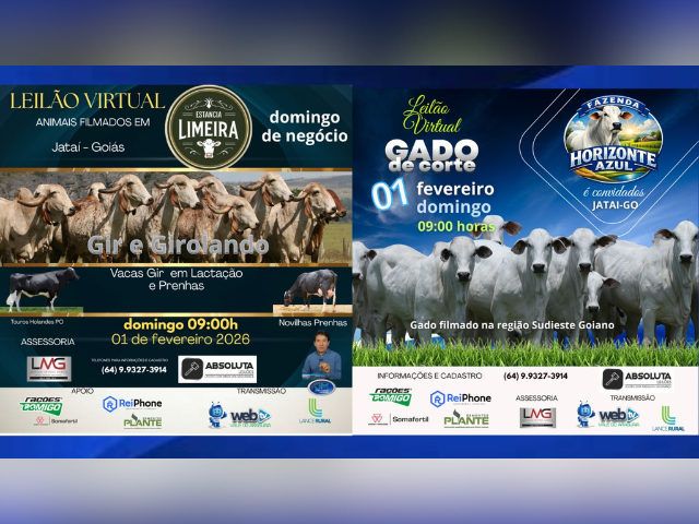 Leilão Virtual Estância Limeira Gir – Girolando e Gado de Corte