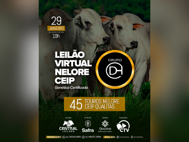 Leilão Virtual Nelore CEIP